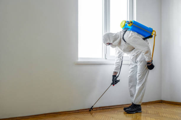 Best Mosquito Control Services  in Amarillo, TX