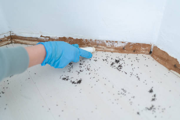 Best Residential Pest Control  in Amarillo, TX